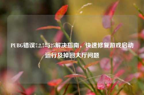 PUBG错误7.2.7与25解决指南,快速修复游戏启动运行及掉回大厅问题