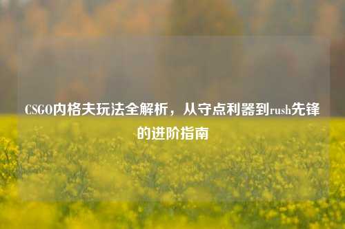 CSGO内格夫玩法全解析,从守点利器到rush先锋的进阶指南