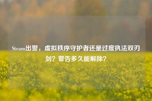 Steam出警，虚拟秩序守护者还是过度执法双刃剑？警告多久能解除？
