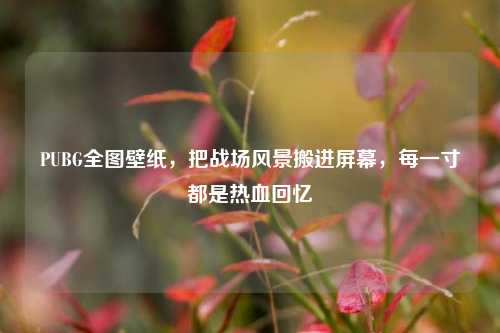 PUBG全图壁纸，把战场风景搬进屏幕，每一寸都是热血回忆