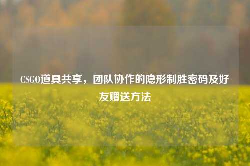 CSGO道具共享，团队协作的隐形制胜密码及好友赠送方法