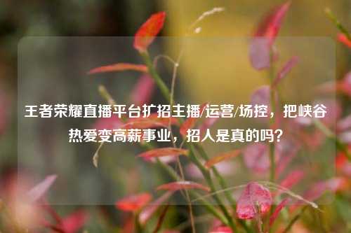 王者荣耀直播平台扩招主播/运营/场控,把峡谷热爱变高薪事业,招人是真的吗?