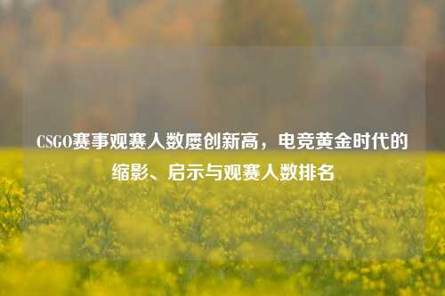 CSGO赛事观赛人数屡创新高，电竞黄金时代的缩影、启示与观赛人数排名