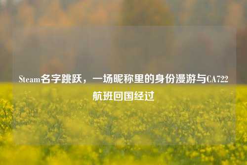 Steam名字跳跃，一场昵称里的身份漫游与CA722航班回国经过