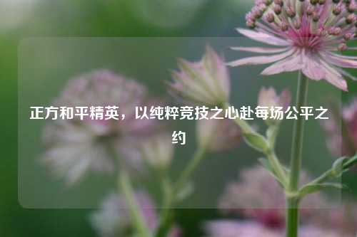正方和平精英，以纯粹竞技之心赴每场公平之约