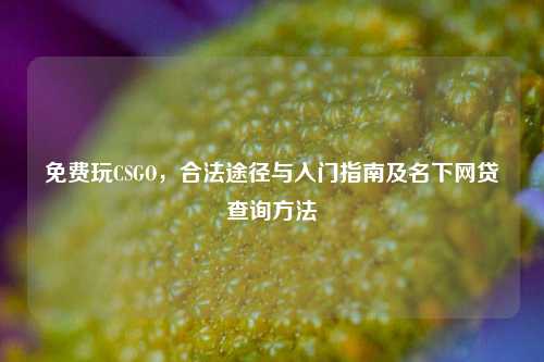 免费玩CSGO，合法途径与入门指南及名下网贷查询方法