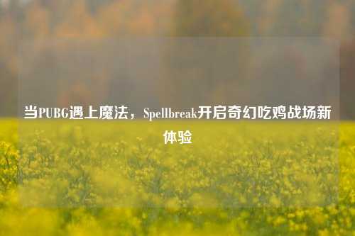 当PUBG遇上魔法,Spellbreak开启奇幻吃鸡战场新体验