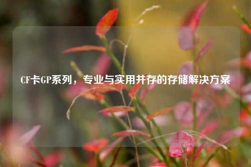 CF卡GP系列，专业与实用并存的存储解决方案