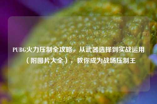 PUBG火力压制全攻略,从武器选择到实战运用(附图片大全),教你成为战场压制王