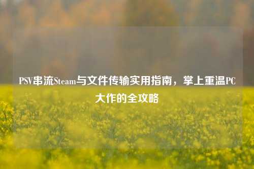 PSV串流Steam与文件传输实用指南，掌上重温PC大作的全攻略