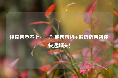校园网登不上Steam?原因解析+避坑指南帮你快速解决!