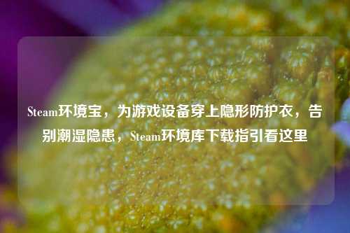 Steam环境宝，为游戏设备穿上隐形防护衣，告别潮湿隐患，Steam环境库下载指引看这里