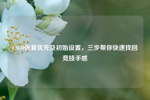 CSGO恢复优先及初始设置，三步帮你快速找回竞技手感