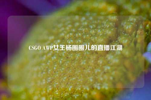 CSGO AWP女王杨圈圈儿的直播江湖