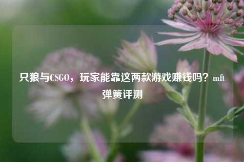 只狼与CSGO，玩家能靠这两款游戏赚钱吗？mft弹簧评测