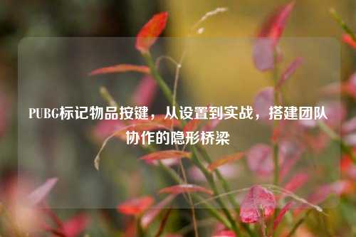 PUBG标记物品按键，从设置到实战，搭建团队协作的隐形桥梁