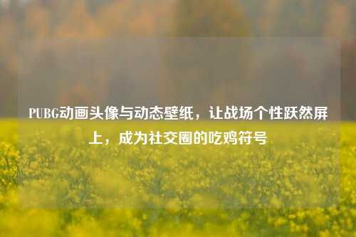 PUBG动画头像与动态壁纸，让战场个性跃然屏上，成为社交圈的吃鸡符号