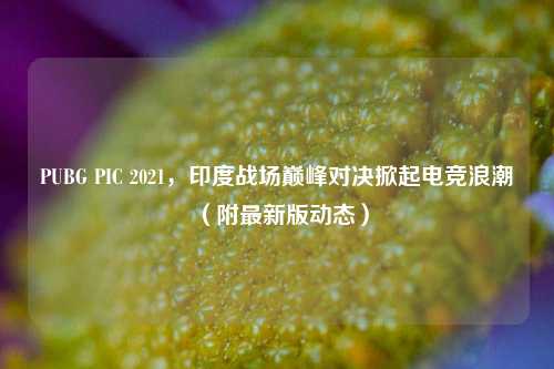 PUBG PIC 2021,印度战场巅峰对决掀起电竞浪潮(附最新版动态)