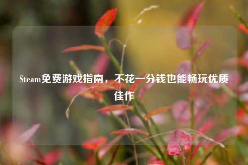 Steam免费游戏指南,不花一分钱也能畅玩优质佳作