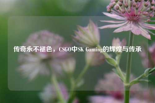传奇永不褪色,CSGO中SK Gaming的辉煌与传承