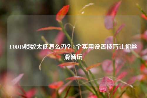COD16帧数太低怎么办？8个实用设置技巧让你丝滑畅玩