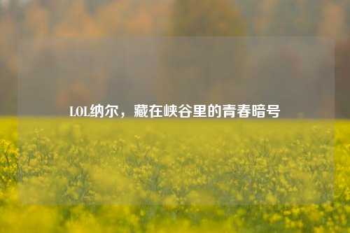 LOL纳尔,藏在峡谷里的青春暗号