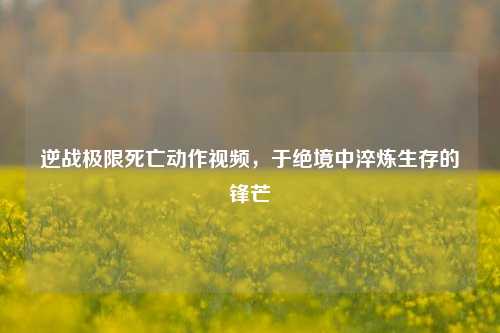 逆战极限死亡动作视频,于绝境中淬炼生存的锋芒