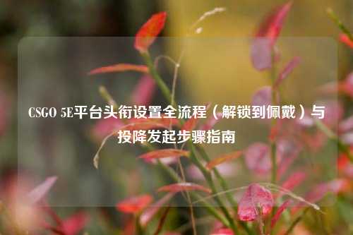 CSGO 5E平台头衔设置全流程(解锁到佩戴)与投降发起步骤指南