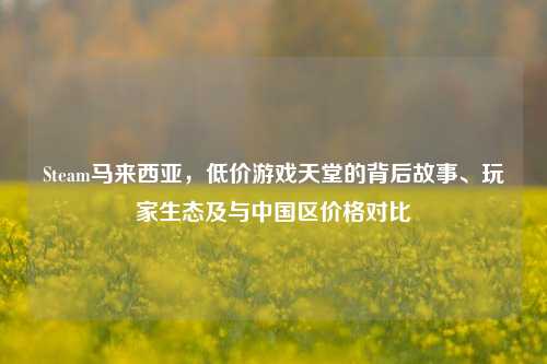 Steam马来西亚，低价游戏天堂的背后故事、玩家生态及与中国区价格对比