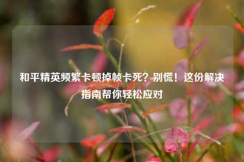 和平精英频繁卡顿掉帧卡死?别慌!这份解决指南帮你轻松应对