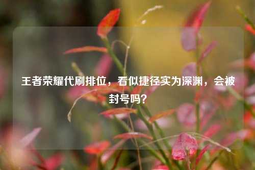 王者荣耀代刷排位，看似捷径实为深渊，会被封号吗？