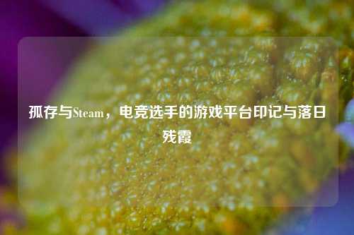 孤存与Steam,电竞选手的游戏平台印记与落日残霞