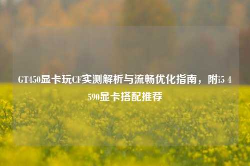 GT450显卡玩CF实测解析与流畅优化指南,附i5 4590显卡搭配推荐