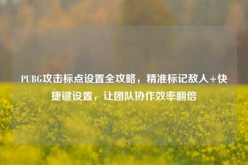 PUBG攻击标点设置全攻略,精准标记敌人+快捷键设置,让团队协作效率翻倍