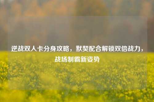 逆战双人卡分身攻略,默契配合解锁双倍战力,战场制霸新姿势
