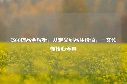 CSGO饰品全解析，从定义到品质价值，一文读懂核心差异