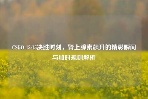 CSGO 15:15决胜时刻,肾上腺素飙升的精彩瞬间与加时规则解析