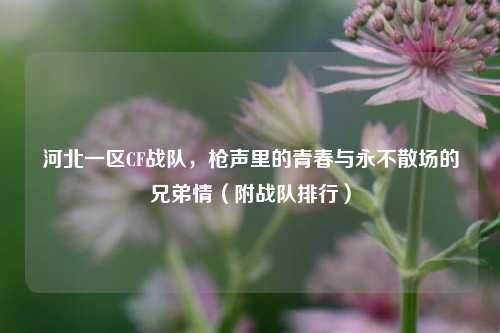 河北一区CF战队，枪声里的青春与永不散场的兄弟情（附战队排行）