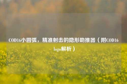 COD16小圆弧,精准射击的隐形助推器(附COD16 logo解析)