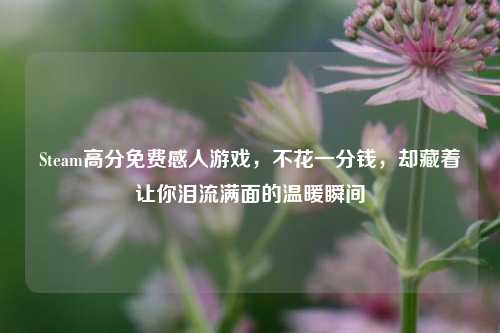 Steam高分免费感人游戏,不花一分钱,却藏着让你泪流满面的温暖瞬间