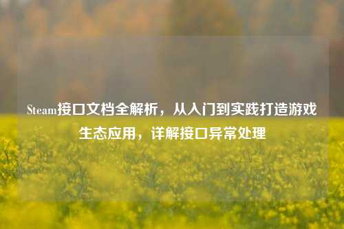 Steam接口文档全解析，从入门到实践打造游戏生态应用，详解接口异常处理