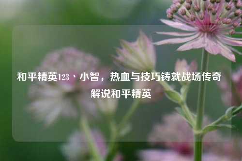 和平精英123丶小智，热血与技巧铸就战场传奇 解说和平精英