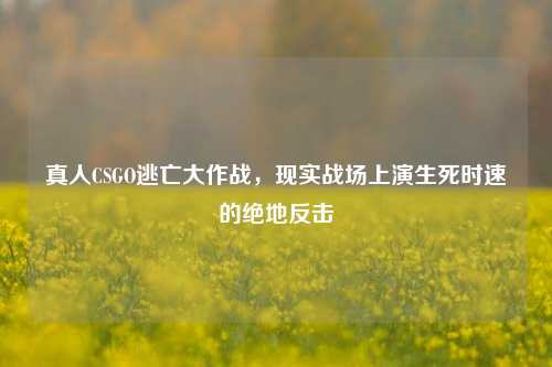 真人CSGO逃亡大作战,现实战场上演生死时速的绝地反击