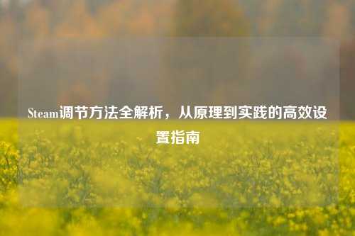 Steam调节方法全解析,从原理到实践的高效设置指南