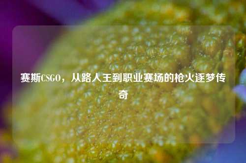赛斯CSGO，从路人王到职业赛场的枪火逐梦传奇