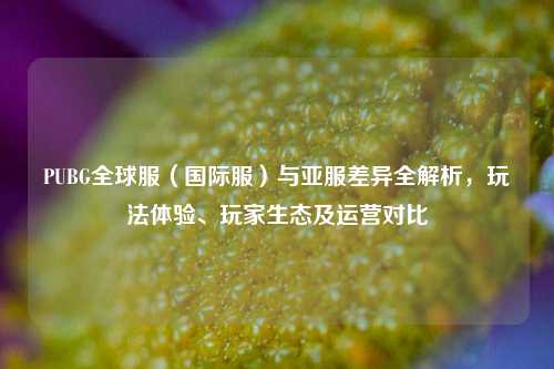 PUBG全球服（国际服）与亚服差异全解析，玩法体验、玩家生态及运营对比