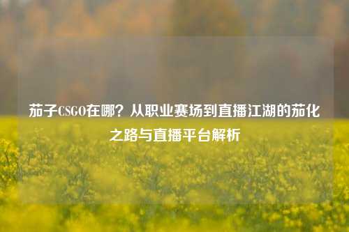 茄子CSGO在哪？从职业赛场到直播江湖的茄化之路与直播平台解析