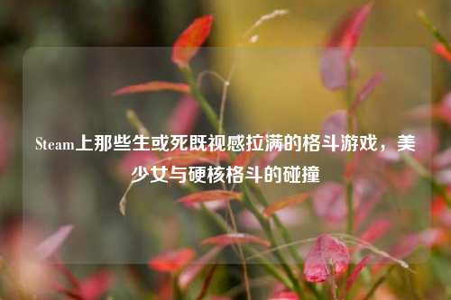 Steam上那些生或死既视感拉满的格斗游戏，美少女与硬核格斗的碰撞