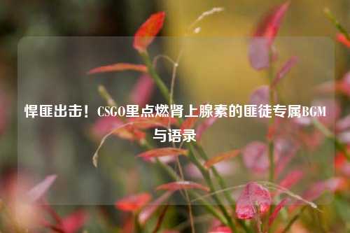 悍匪出击!CSGO里点燃肾上腺素的匪徒专属BGM与语录