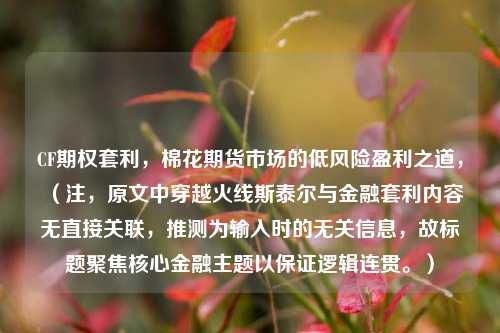 CF期权套利，棉花期货市场的低风险盈利之道，（注，原文中穿越火线斯泰尔与金融套利内容无直接关联，推测为输入时的无关信息，故标题聚焦核心金融主题以保证逻辑连贯。）